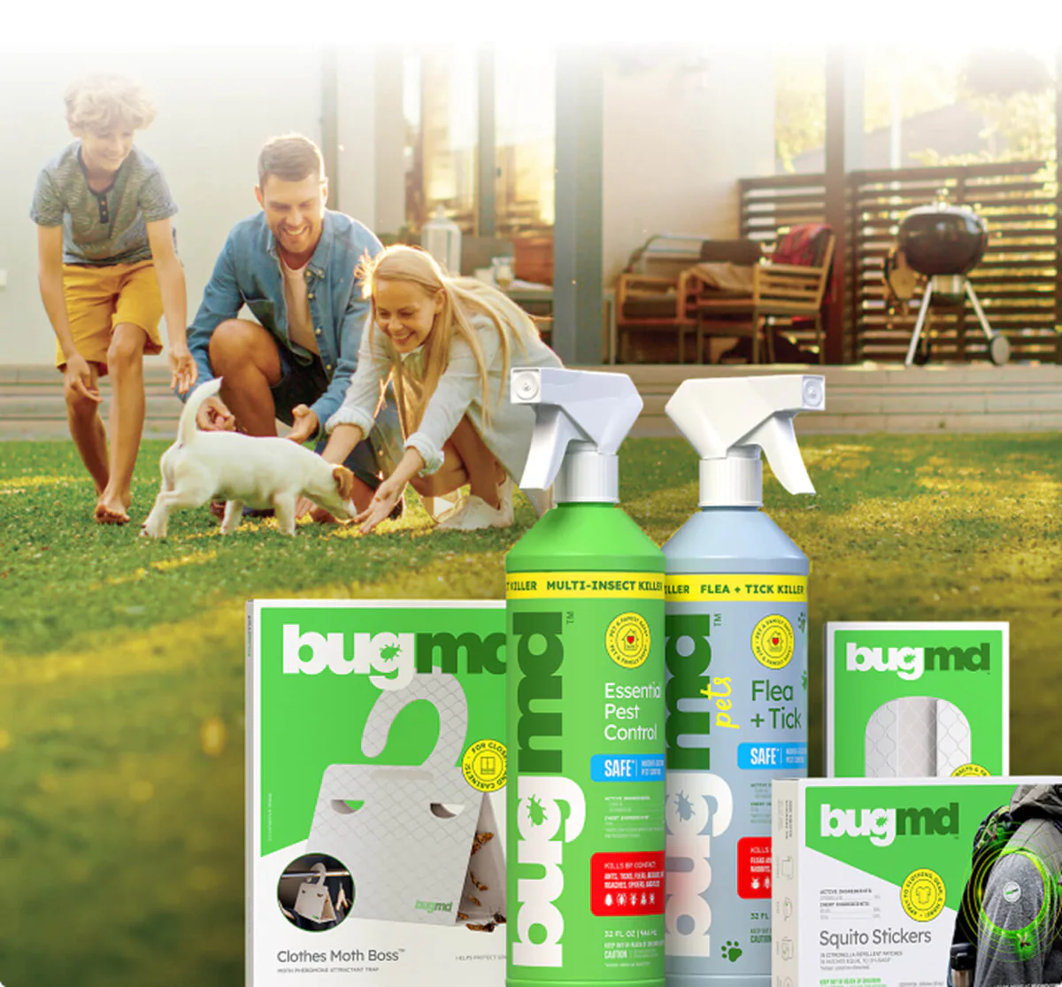 Reclaim Your Pest-Free Home